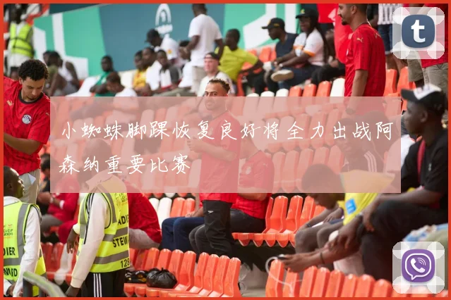 小蜘蛛脚踝恢复良好将全力出战阿森纳重要比赛