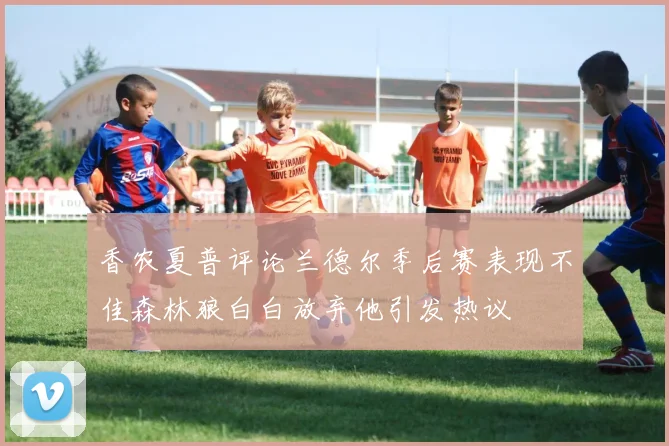 香农夏普评论兰德尔季后赛表现不佳森林狼白白放弃他引发热议