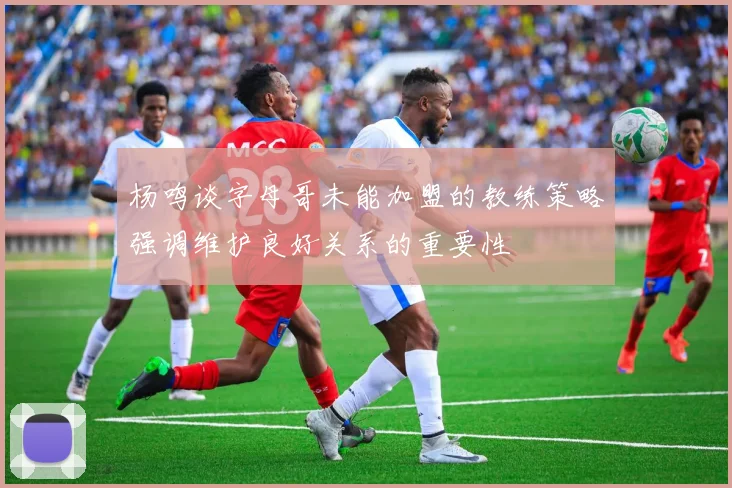 杨鸣谈字母哥未能加盟的教练策略强调维护良好关系的重要性