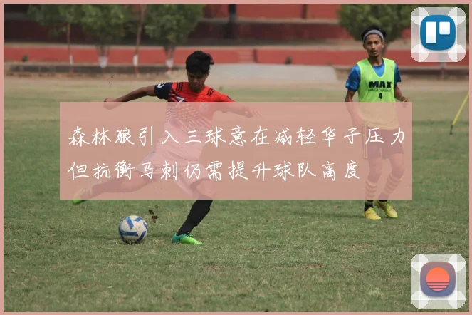 森林狼引入三球意在减轻华子压力但抗衡马刺仍需提升球队高度