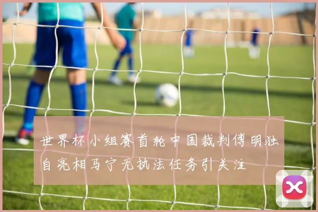 世界杯小组赛首轮中国裁判傅明独自亮相马宁无执法任务引关注